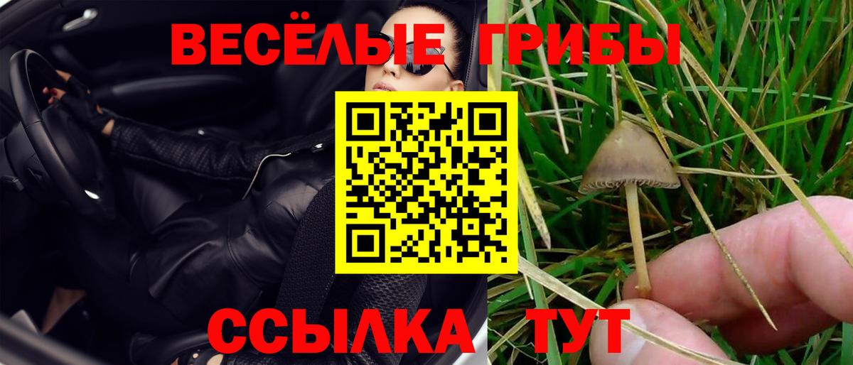 Галлюциногенные грибы прущие грибы Кохма