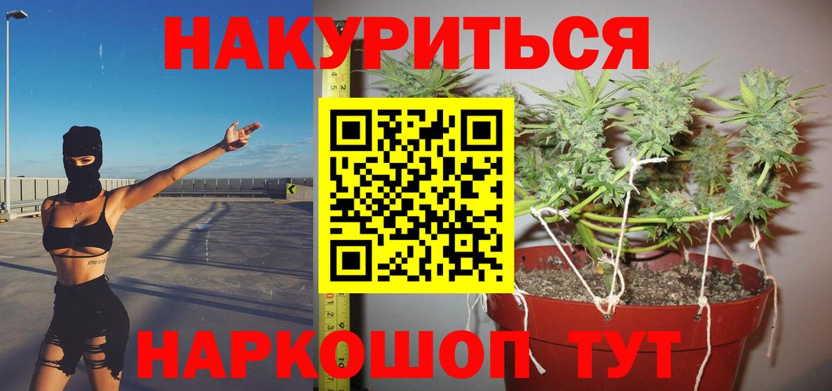 Каннабис марихуана Кохма